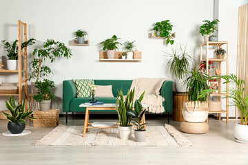 Living room interior with beautiful different potted green plants and furniture. House decor - Powered by Adobe