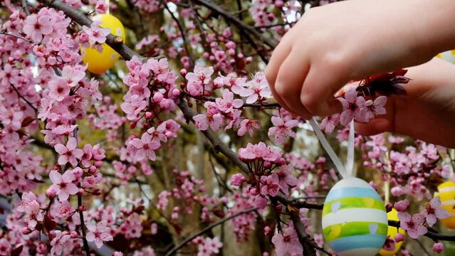 Easter street decoration. Decorated Easter tree. Childs hands dress decorative eggs on blooming pink branches. Spring religious holiday.4k footage
