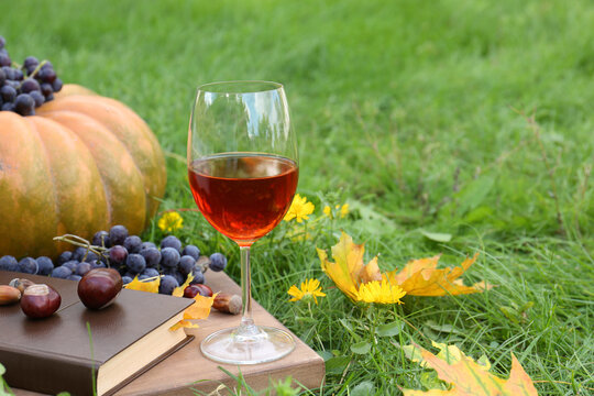 Glass of wine, book and chestnuts on wooden board outdoors, space for text. Autumn picnic