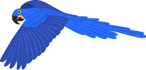 blue macaw flying "arara" transparent background