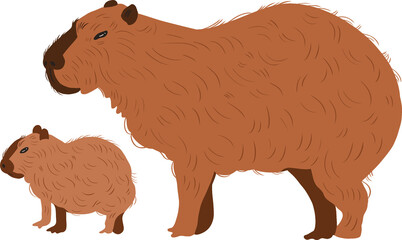 "capivara" capybara and cub transparent background