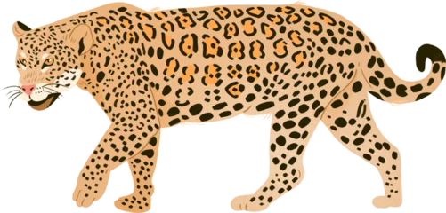 Foto op Plexiglas "onça pintada" jaguar transparent background © Sophia Andreazza
