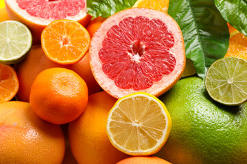 Different ripe citrus fruits with green leaves as background, closeup
