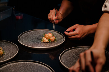 Close up of a chef's hand cooking and preparing fine dining meals. Food prepping in the kitchen.