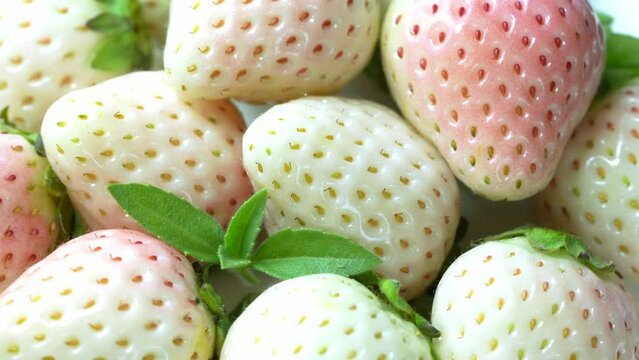 Fresh pink snow strawberry in wooden plate on wooden background, White and Pink snow Strawberries on wooden Background.