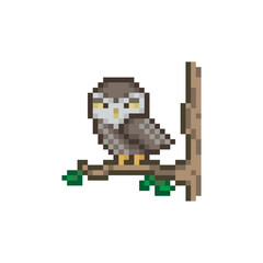 Fototapeta premium owl on a tree branch, pixel art animal