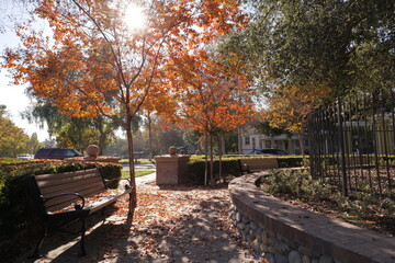 California winter. Warm, leaf fall and no snow.