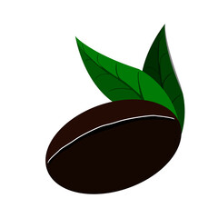 coffee bean with sprouting leaves growing