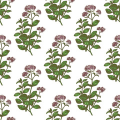 Color Oregano Pattern in Hand-Drawn Style