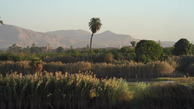 Majestic Desert Mountain and Farms in Nile River, Upper Egypt