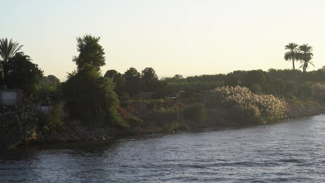 Green Farms, Nile River at Golden Hour in Upper Egypt