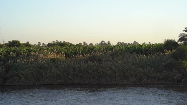 Rare Shot of Ancient Egypt and Natural Greens along Nile River in Upper Egypt
