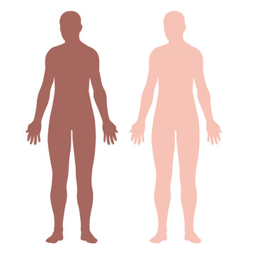 human body silhouette vector design