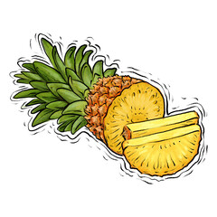 Pineapples fruit drawing illustration