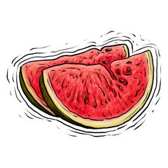 Watermelon fruit drawing illustration