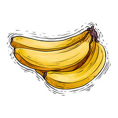 Banana fruit drawing illustration