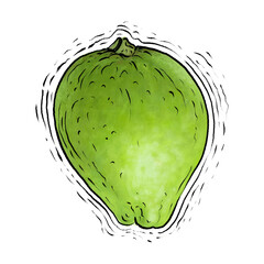 Guava fruit drawing illustration