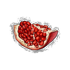 Pomegranate fruit drawing illustration