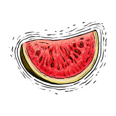 Watermelon fruit drawing illustration