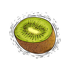 Kiwi fruit drawing illustration