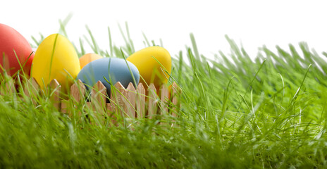 Colorful Easter eggs on grass
