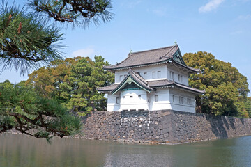 Fototapeta premium The Japanese castle with river and pine tree in springtime