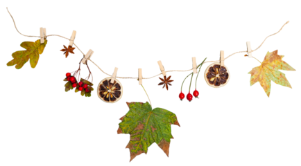 Dry leaves autumn composition on the rope