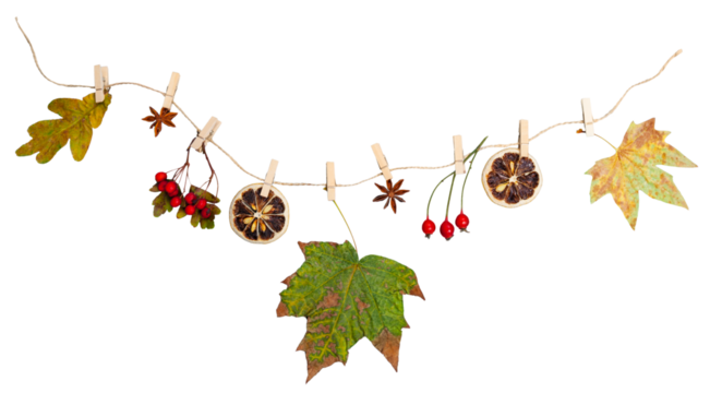 Dry leaves autumn composition on the rope