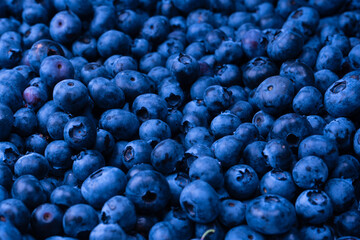 Fresh blueberry background. Texture blueberry berries close up.