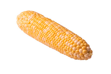 Yellow corn isolated on white background. Copyspace.