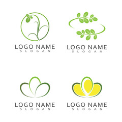 Moringa Leaf Logo Template Vector Symbol Nature