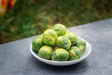 Brussels sprouts on a white background