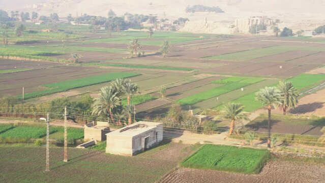 Aerial View of Luxor Farms in the morning