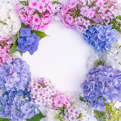 Composition with multicolored phlox flowers in the form of a frame with copy space for wedding or greeting cards