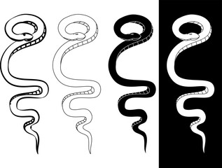 Hand drawn snake vector Illustration isolate on white background.Milk snake vector.Red snake vector.Lampropeltis triangulum vector.Sticker and hand drawn snake for tattoo.
