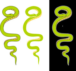 Hand drawn snake vector Illustration isolate on white background.Milk snake vector.Red snake vector.Lampropeltis triangulum vector.Sticker and hand drawn snake for tattoo.