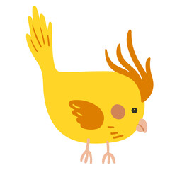 Cockatiel bird vector illustration in flat color design
