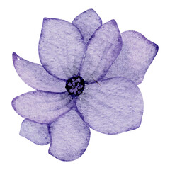Watercolor flower illustration 