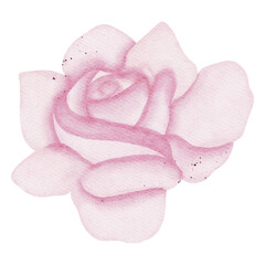 Watercolor flower illustration 