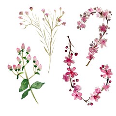 Obraz na płótnie Canvas Pink flower branch sakura watercolor a sketch 