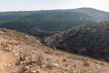 Panoramic  view from the top of the hill in Tel Yodfat National park, in northern Israel