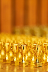 gold cups rewarding of winners