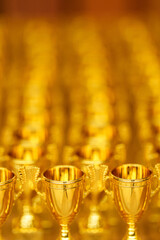 gold cups rewarding of winners