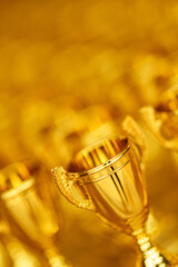 gold cups rewarding of winners