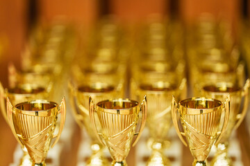 gold cups rewarding of winners - 555318277