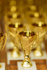 gold cups rewarding of winners