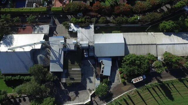 granjas de animales cerdos 