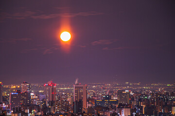 旭山記念公園の夜景