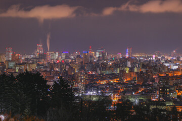 Obraz premium 旭山記念公園の夜景