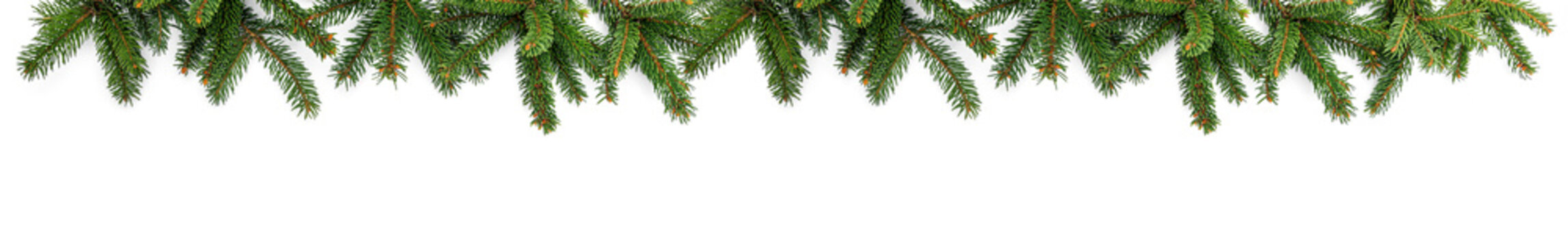 Merry Christmas garland of green fir branches on white background. Happy New Year and Xmas, top view, wide banner